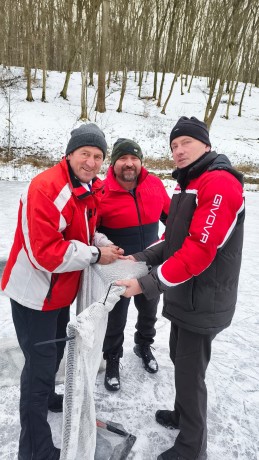 Oprava bránky 3 králi. web