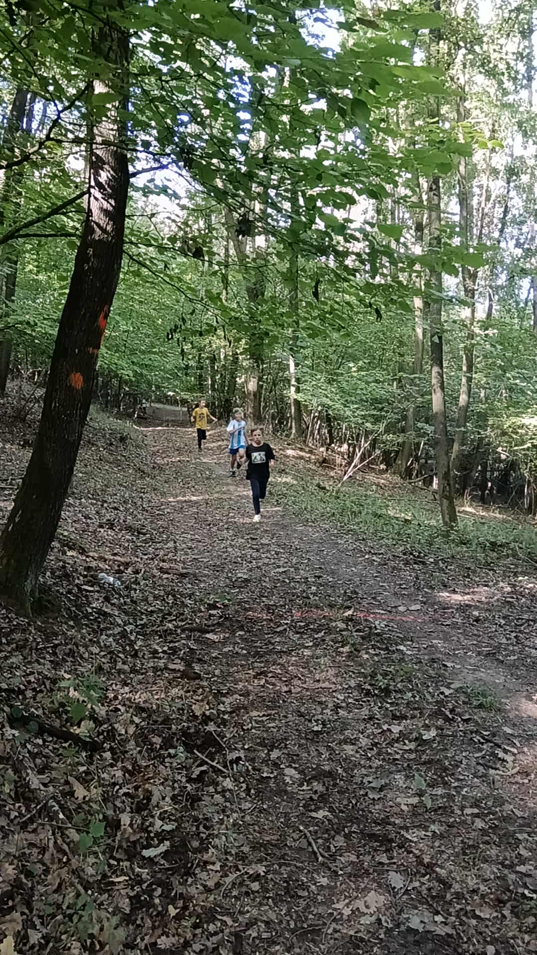 chalani beh lesom web.